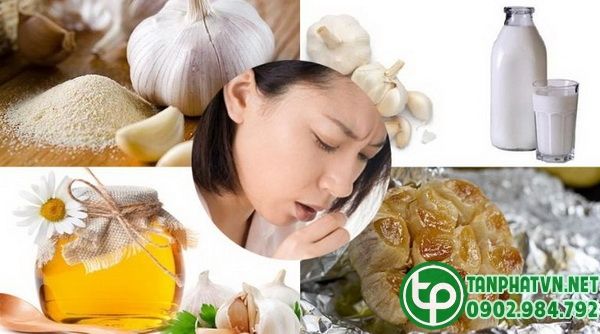 Tỏi giúp tăng cường sức đề kháng chống lại vi khuẩn gây bệnh.