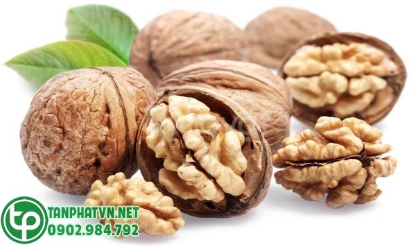 Hồ đào bổ khí huyết, chống lão suy, rất tốt cho người cao tuổi.
