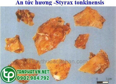 An tức hương chữa bệnh