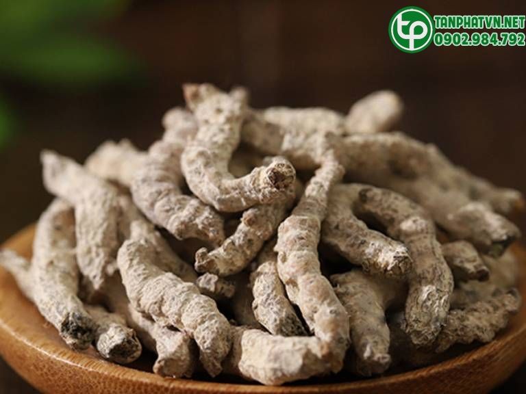 Bạch cương tằm có tác dụng gì? Đặc điểm và cách dùng