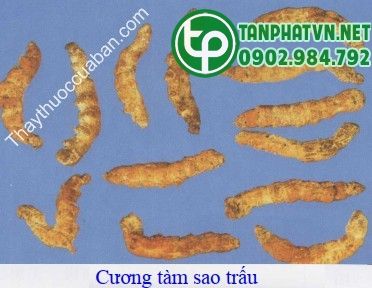 Hình ảnh cương tằm sao trấu