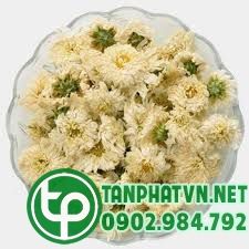 Hoa cúc làm thuốc | TINH HOA XANH