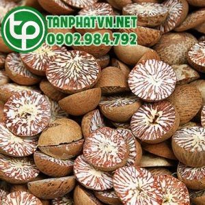 Binh lang – Trị khó tiêu, đầy trướng bụng và chữa trẻ em bị chốc đầu; Giá:  170k