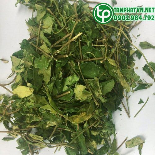 Công dụng của dây thìa canh