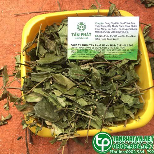 Công dụng dây thìa canh khô
