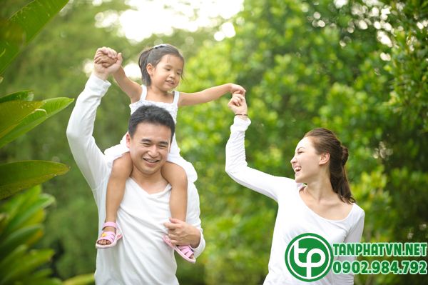 Bài thuốc trị bệnh từ cây hy thiêm ( cây cỏ dĩ ) 2 Bài thuốc trị bệnh từ cây hy thiêm ( cây cỏ đĩ )