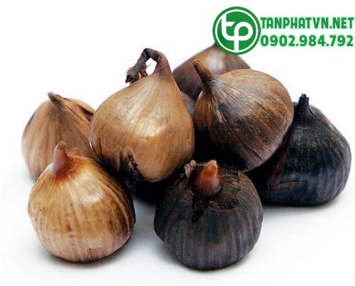 4 Tỏi đen
