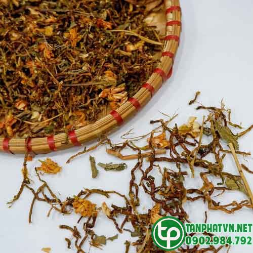 1 Công dụng của trà sơn mật hồng sâm