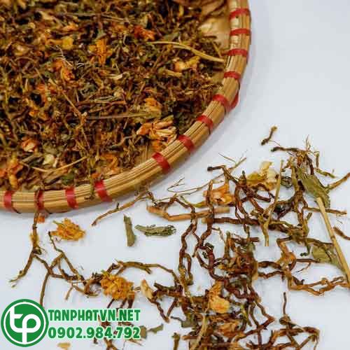 5 Trà sơn mật hồng sâm