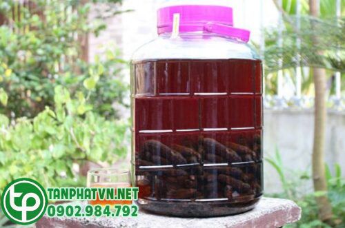 1 Rượu chuối hột rừng