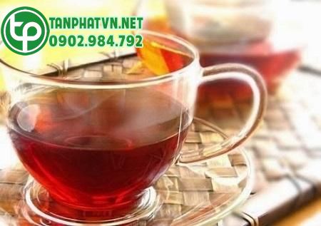 Những bài thuốc từ cà gai leo