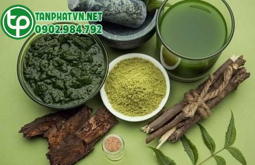 Công dụng từ bột neem 