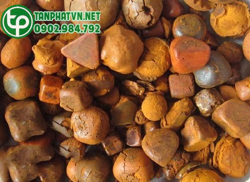 Ngưu hoàng nguyên chất