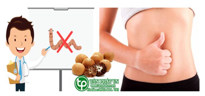 Cách sử dụng hạt cau