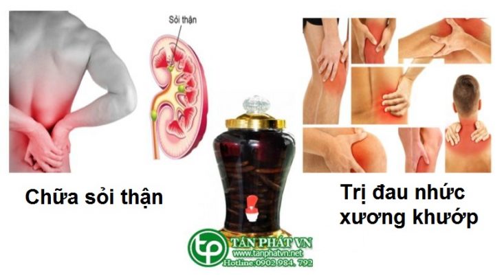 công dụng rượu chuối hột