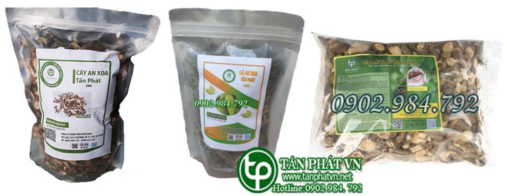Công dụng của cây an xoa