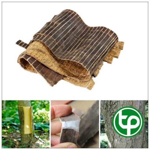 Vỏ cây đõ trọng