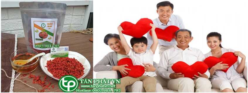 Cách sử dụng câu kỷ tử