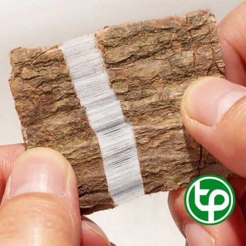 Đỗ trọng