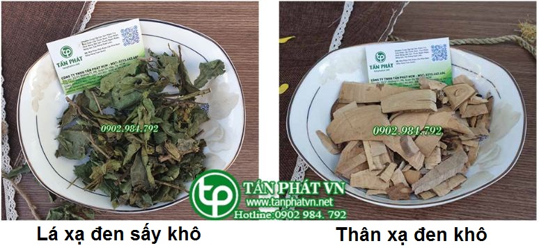 cây xạ đen khô chất lượng