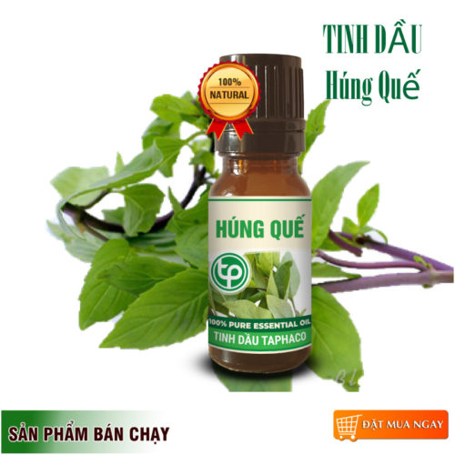 Tinh Dầu Húng Quế