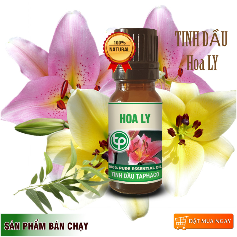 Tinh dầu hoa ly