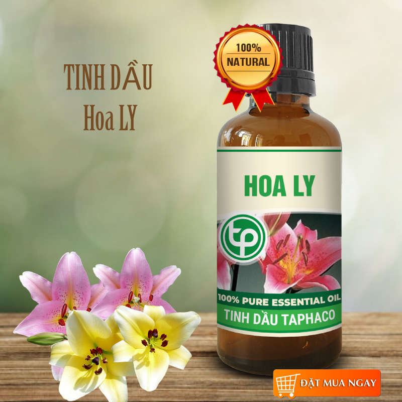 Tinh dầu hoa lily 100ml
