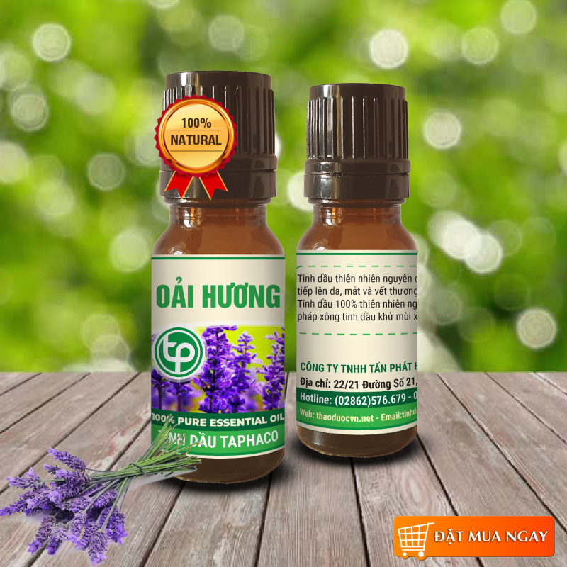 Tinh Dầu Lavandula angustifolia
