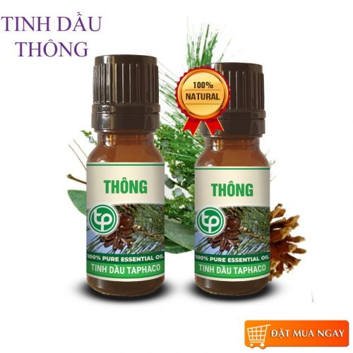 Tinh dầu thông 10ml