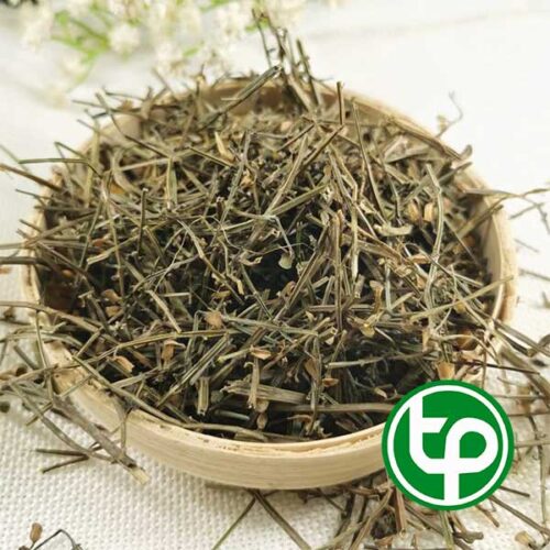Bán chi liên Tấn Phát