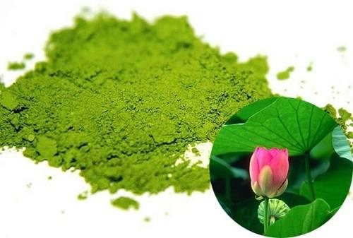 Sản phẩm bột lá sen tại HCM