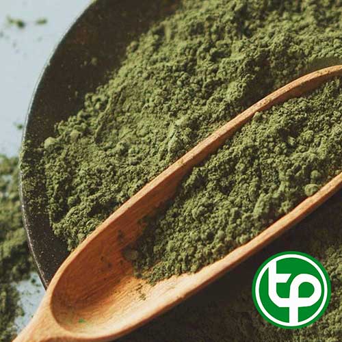 Nơi bán bột ngải cứu giá rẻ tại TP.HCM ?