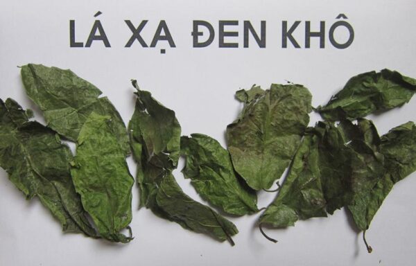 Lá xạ đen khô