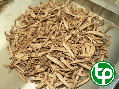 Công dụng của rễ atiso