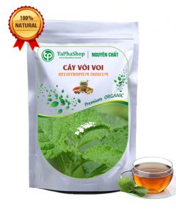 cây vòi voi tấn phát