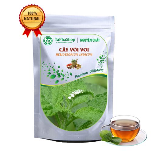 cây vòi voi tấn phát