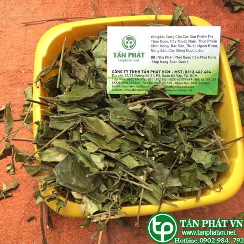 Công dụng dây thìa canh khô