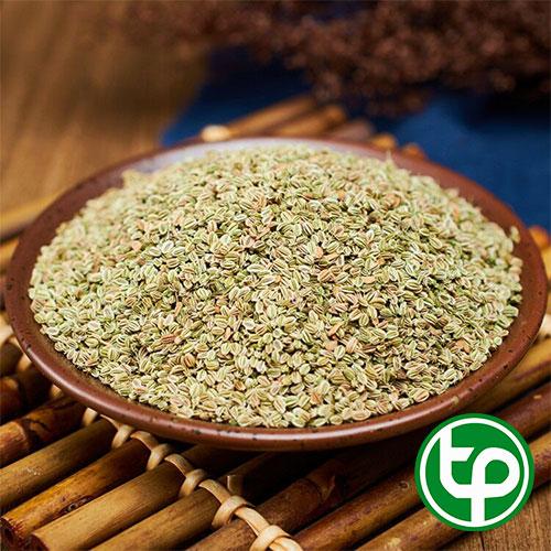 Xà sàng tử - Tấn Phát