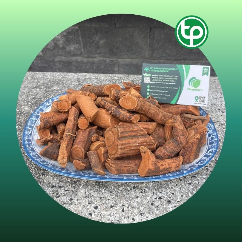 Rễ mú từn sấy khô chất lượng cao