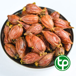Quả dành dành khô tại Tấn Phát