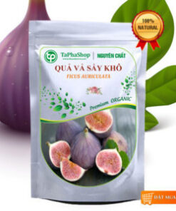 Quả vả