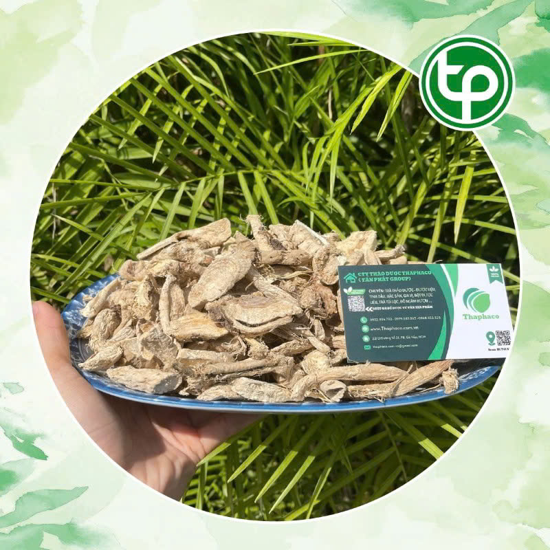 Sâm bố chính sấy khô