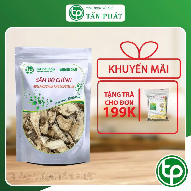 Sâm bố chính tại TP.HCM