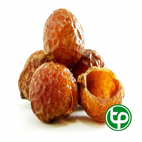 Bồ hòn khô