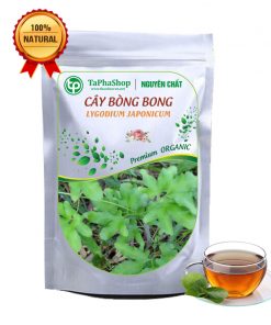 Cây bòng bong