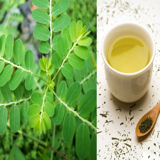 Nước cây chó đẻ