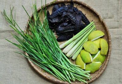 Dầu gội từ cỏ mần trầu