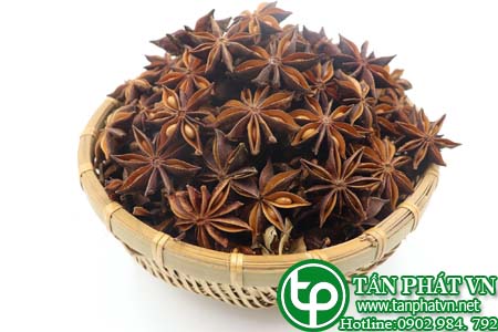 hoa hoi xuat khau