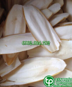 Mai mực