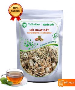 Cây nở ngày đất sấy khô
